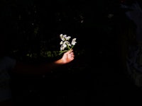 a girl is holding a flower
